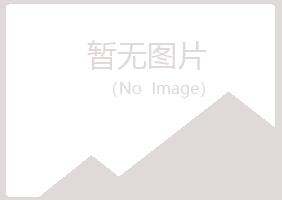 大新县绿海设计有限公司